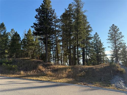 Lot 5 Crooked Tree Place, Fairmont Hot Springs, BC - Outdoor With View