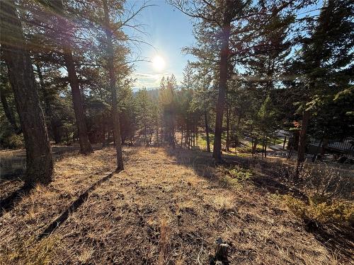 Lot 5 Crooked Tree Place, Fairmont Hot Springs, BC - Outdoor With View