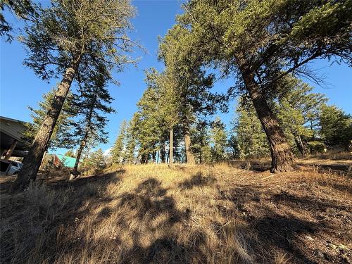 Lot 5 Crooked Tree Place, Fairmont Hot Springs, BC - Outdoor With View