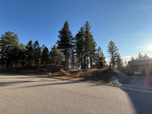 Lot 5 Crooked Tree Place, Fairmont Hot Springs, BC - Outdoor