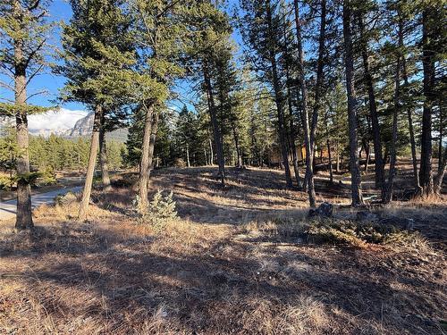 Lot 5 Crooked Tree Place, Fairmont Hot Springs, BC - Outdoor With View