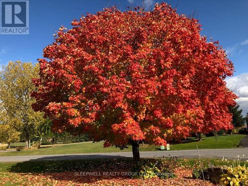 1040 Misty Morning Lane, Ottawa, ON - Outdoor