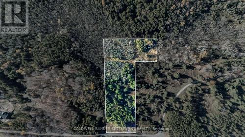 1007 Concession 5A Road, Lanark Highlands, ON 