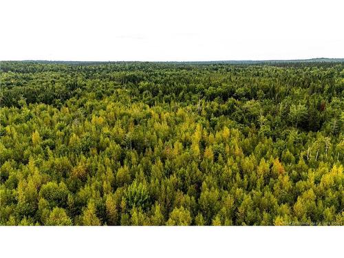 7560 Route 515, Saint-Paul, NB 