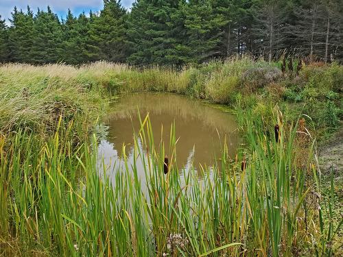 Land/Lot - 7429 Rg Des Défricheurs, Rouyn-Noranda, QC - Outdoor With View