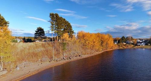 Terre/Terrain - 103 Ch. Eva, Lac-Bouchette, QC 