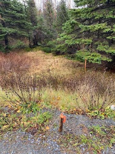 94-96 Highway East, Victoria, NL 