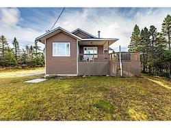 98 Gullyview Road  Goulds Big Pond, NL A0B 3K0