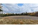 - Route 172, St George, NB 