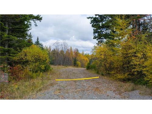 - Route 172, St George, NB 