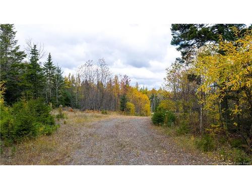 - Route 172, St George, NB 