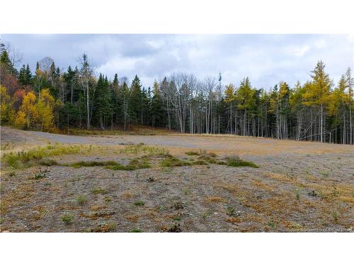 - Route 172, St George, NB 