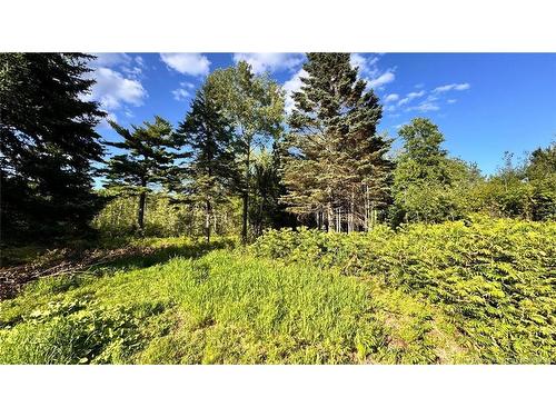 8 Graham St, Lower Lincoln, NB 