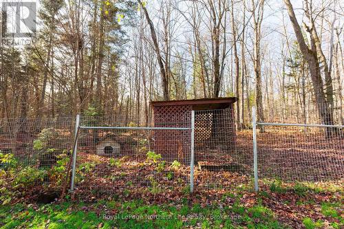 566 Deer Lake Road, Parry Sound Remote Area (Lount), ON - Outdoor