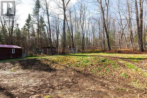 566 Deer Lake Road, Parry Sound Remote Area (Lount), ON - Outdoor
