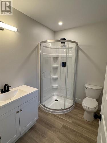 63 Cameron Place, Pouch Cove, NL - Indoor Photo Showing Bathroom