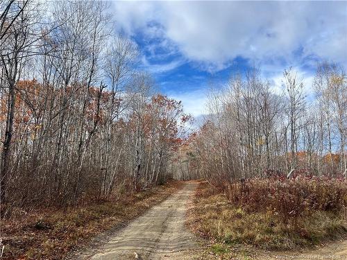 02 Hall Rd, Upper Mills, NB 