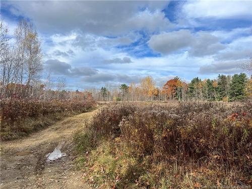 02 Hall Rd, Upper Mills, NB 