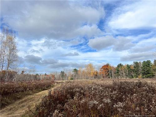 02 Hall Rd, Upper Mills, NB 