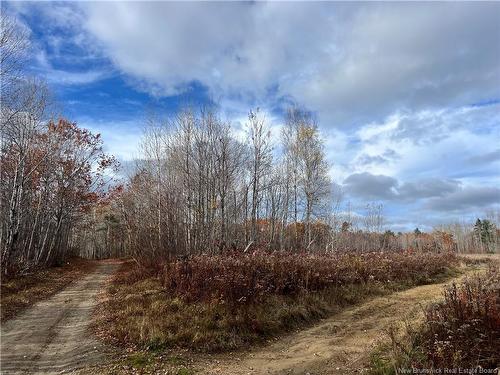 02 Hall Rd, Upper Mills, NB 