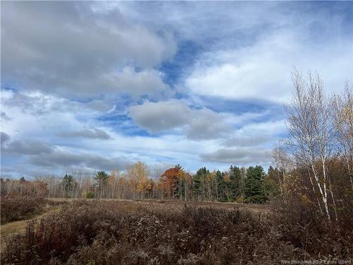 02 Hall Rd, Upper Mills, NB 