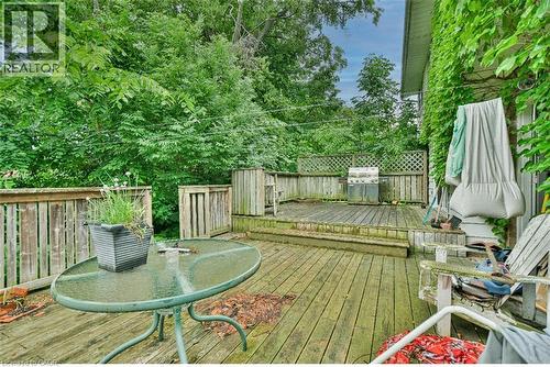 46 Birchcliff Avenue, Kitchener, ON - Outdoor With Deck Patio Veranda