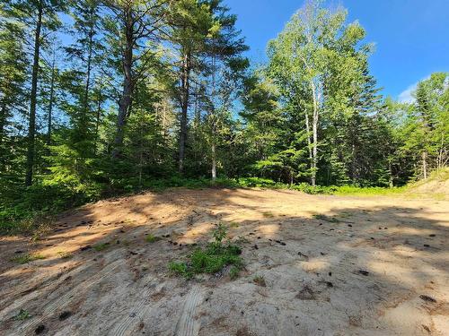 Terre/Terrain - Route 155 S., La Tuque, QC 