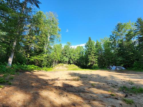 Terre/Terrain - Route 155 S., La Tuque, QC 