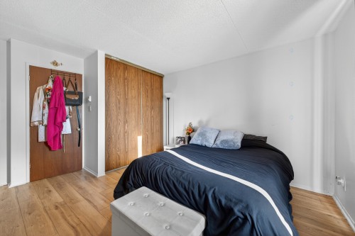 Primary bedroom - 1029 Rue De Salaberry, Montréal (Ahuntsic-Cartierville), QC 