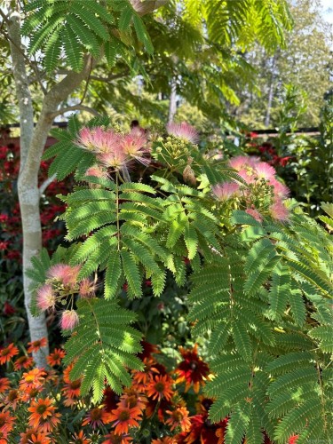 6303 Riverstone Dr, Sooke, BC 