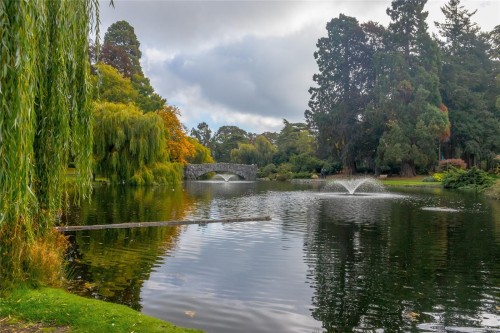 606 Niagara St, Victoria, BC 