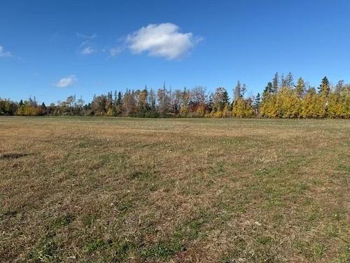 Route 20, Springbrook, PE 