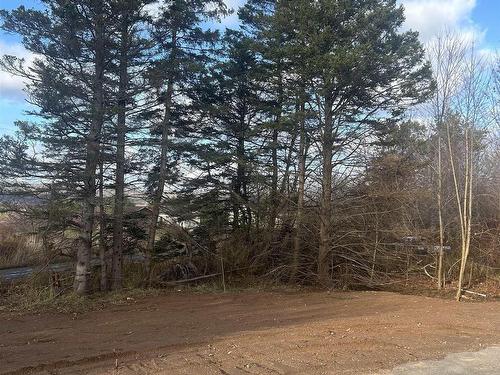 3581 Highway 201, Centrelea, NS 