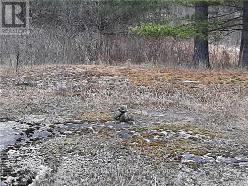 0 Pt Lt12 Con14 Hwy 37 Road, Tweed (Hungerford (Twp)), ON 