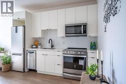 514 VICTORIA Street Unit# 209  Nelson, BC V1L 4K8