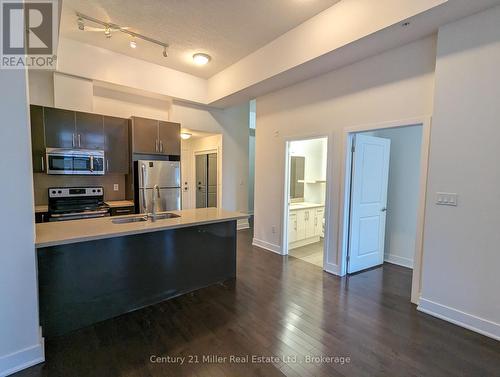 106 - 85 Robinson Street, Hamilton (Durand), ON - Indoor Photo Showing Kitchen
