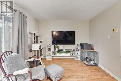 590 Tenth Street, Collingwood, ON - Indoor