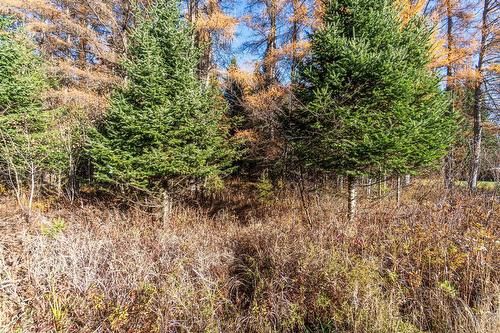 Autre - Rue Émond, Mont-Tremblant, QC 
