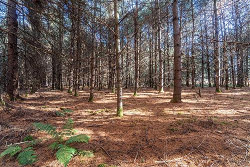 Terre/Terrain - Rue Émond, Mont-Tremblant, QC 