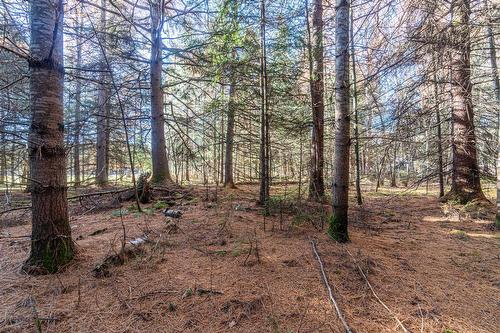 Terre/Terrain - Rue Émond, Mont-Tremblant, QC 