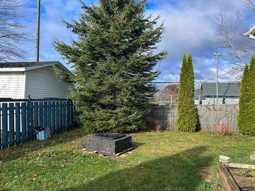 Cour - 815 Rue Florette-Lavigne, Drummondville, QC - Outdoor