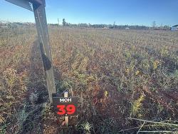 Lot 39 McGregor Drive  Stratford, PE C1B 1K8