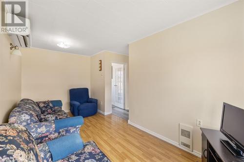14 Hacketts Lane, Trepassey, NL - Indoor Photo Showing Living Room
