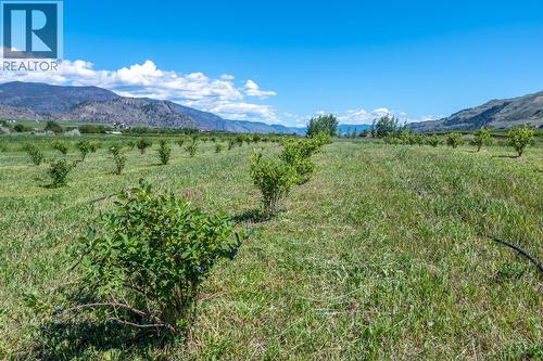 294 Road 18 Road, Oliver, BC - Outdoor With View