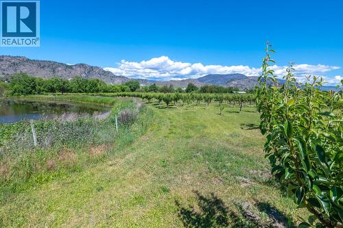 294 Road 18 Road, Oliver, BC - Outdoor With View