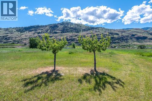 294 Road 18 Road, Oliver, BC - Outdoor With View