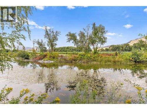 294 Road 18 Road, Oliver, BC - Outdoor With View