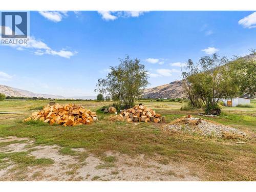 294 Road 18 Road, Oliver, BC - Outdoor With View