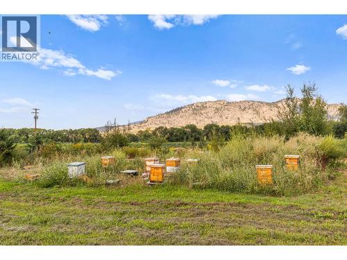 294 Road 18 Road, Oliver, BC - Outdoor With View