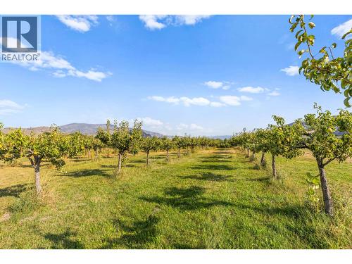 294 Road 18 Road, Oliver, BC - Outdoor With View